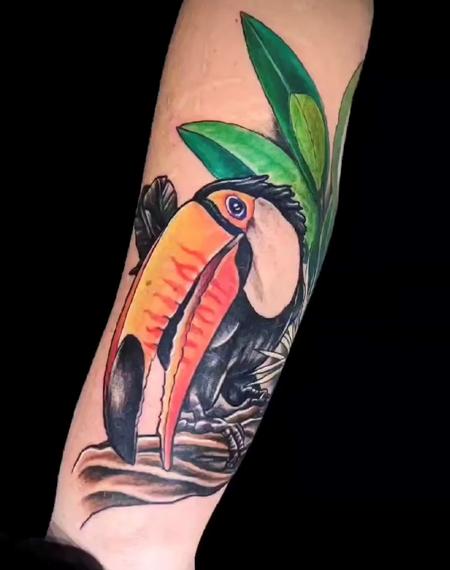 Tattoos - Marcus Judd Toucan - 144829